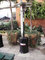 Patio Heater a Gás Plus - 2000